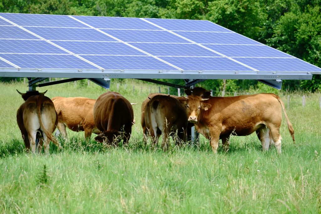 Valeco Enogrid agrivoltaïsme autoconsommation collective